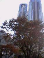 051112_1507001