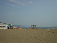 DSC01874