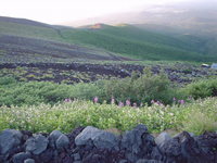 DSC02000