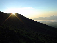 DSC02007