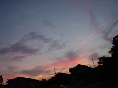DSC02161