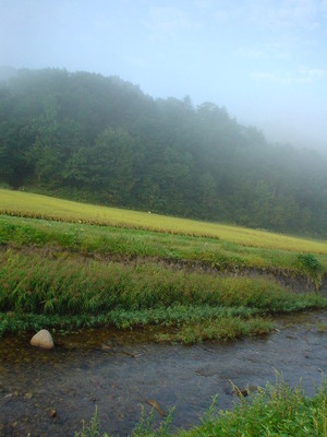 DSC02263