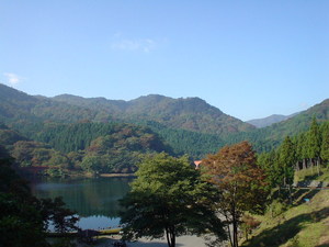 DSC02390