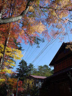 DSC02399