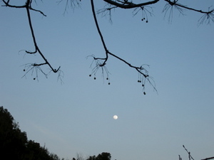 IMGP0102