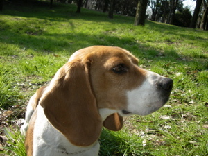 IMGP0207