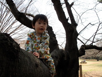 Img_0654 Img_0654