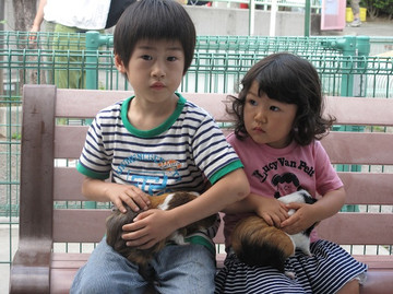 Img_1046 Img_1046