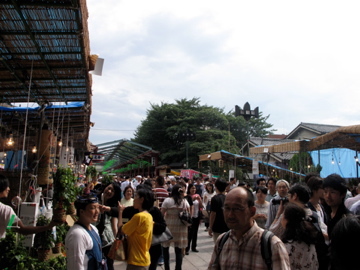 Img_1255 Img_1255