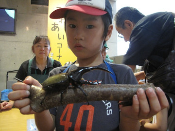 Img_2455 Img_2455
