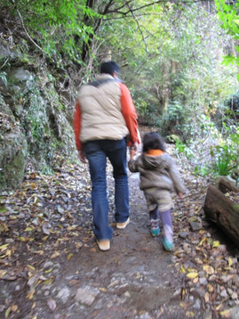 Img_3632 Img_3632