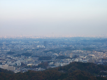 Img_3649 Img_3649