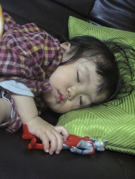 Img_5987 Img_5987