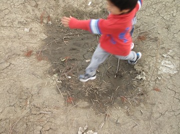 Img_6430 Img_6430