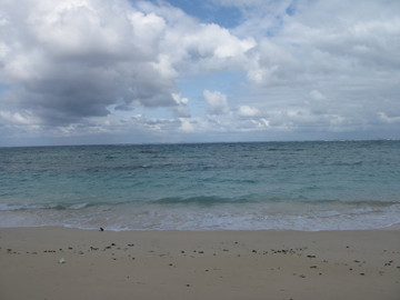 Img_7283 Img_7283