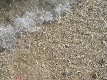 Img_7335 Img_7335
