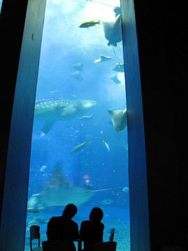 Img_7371 Img_7371