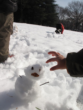 Img_9855 Img_9855