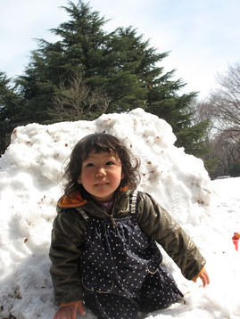 Img_9875 Img_9875