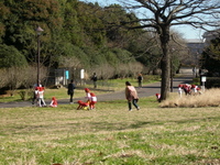 Imgp0194 Imgp0194